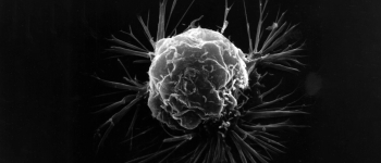 Вакцина нового покоління запобігає 88% випадків агресивних видів раку