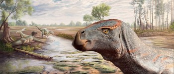 Палеонтологи відкрили новий вид динозаврів-ігуанодонтів