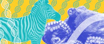 План створення генетичного банку Землі може врятувати життя