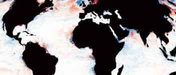 Потемніння океанів планети становить загрозу для морського життя