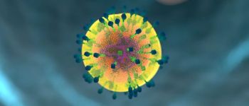 Вчені перепрограмували клітини шкіри в імунні клітини для боротьби з раком