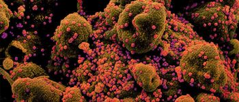 Дослідження: карантин запобіг мільйонам заражень коронавірусом