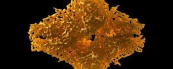 Нобелівська премія з хімії присуджена за дослідження в області кріоелектронної мікроскопії