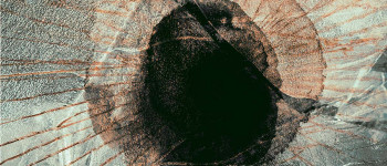 Дослідники виявили величезну ополонку в «Останньому льоді» Арктики