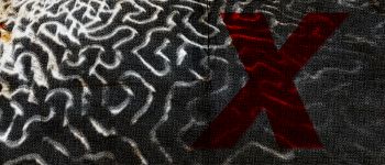 Дослідники не знають, що вбиває кораловий риф Флориди