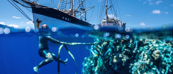 Дослідники витягли «загадкові» пластикові об'єкти з великої тихоокеанської сміттєвої плями