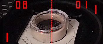 Дослідники навчили клітини людського мозку в пробірці грати в "понг"