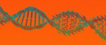 Дослідники вперше використали КРІСПР-«подрібнювач» на ДНК людини