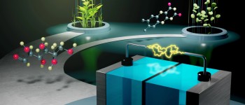 Революційна біопаливна батарея натхненна людським метаболізмом