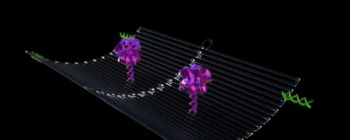 Роботи, менші, ніж людське волосся, можуть скорочувати ракові пухлини