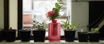 Самсунг зробив вазу з квітами, яка є вогнегасником