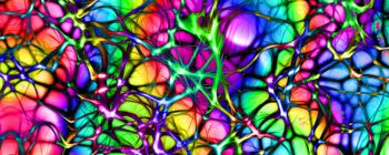 Вчені наблизились до створення штучних мізків, які діють так само, як наші