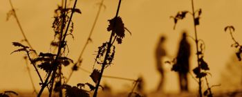 Вчені створюють організми, які не можуть вижити