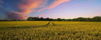 Вчені займаються розробкою уловлювачів вуглецю для боротьби зі зміною клімату