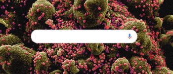 Вчені стежать за пошуками в Гугл, щоб відстежити коронавірус