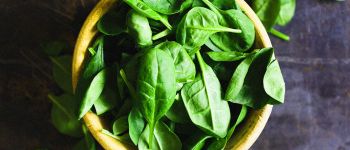 Вчені побудували паливний елемент зі шпинату