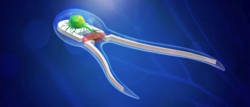 Вчені створили крихітних роботів, що приводяться в дію м'язами і нервами