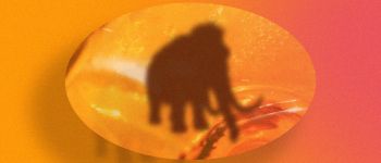 Вчені впритул наблизилися до клонування шерстистого мамонта