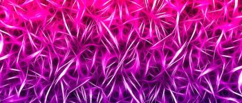 Вчені винайшли гідрогель, який лікує нервові пошкодження