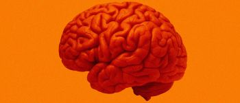 Вчені завершили перше випробування на людях вакцини проти раку мозку