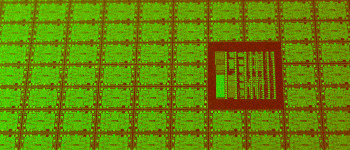 Вчені створюють ліки проти раку без будь-яких випробувань на тваринах