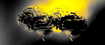 Вчені створили рій ін'єкційних наносенсорів для читання мозку