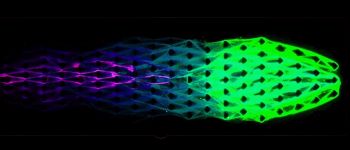 Вчені створили матеріал зі «штучним метаболізмом»