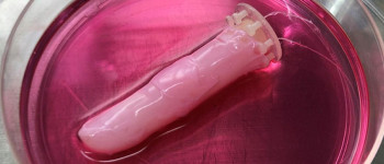 Вчені створили роботизований «палець» з живою шкірою