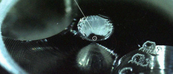 Вчені знайшли воду та органічні речовини на поверхні астероїда