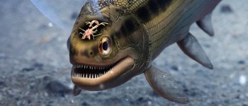 Вчені виявили найстаріший у світі мозок хребетних, що зберігся