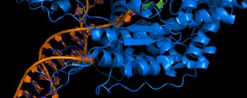 Вчені виявили «перемикач», який знищує будь-яку ракову клітину