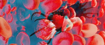 Вчені маскують нанороботів, що полюють за раком, як клітини крові