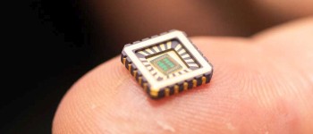 Вчені нарешті створили штучні клітини мозку