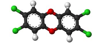 Вчені знайшли бактерії, які поглинають забруднювачі, що викликають рак