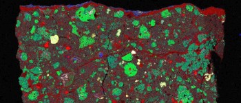 Вчені знайшли «крижані скам'янілості» в стародавньому метеориті