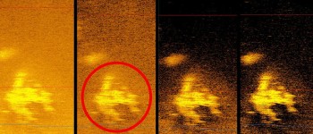 Вчені кажуть, що нарешті знайшли уламки літака Амелії Ергарт