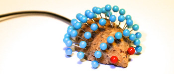 Після модифікації їхнього геному миші прожили на 23 відсотки довше