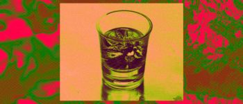 Вчені генетично модифікували бактерії текіли на вироблення канабіноїдів