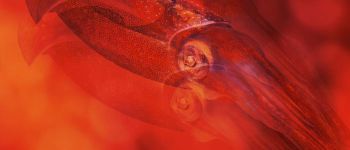 Вчені модифікували клітини людини, щоб ті стали невидимими