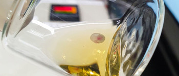 Вчені виростили мишачі ембріони в штучній утробі 