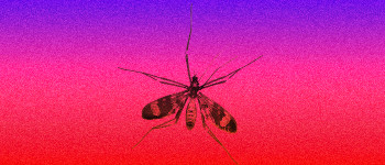 Вчені винайшли «високоефективну» вакцину проти малярії