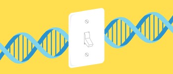 Вчені винайшли спосіб включати та вимикати гени, як вимикачі світла