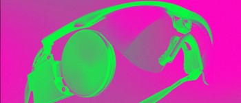 Вчені дозволили сліпим «бачити» за допомогою біонічних окулярів наступного покоління