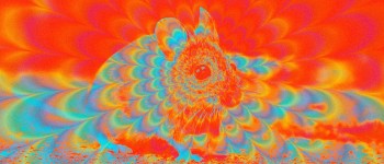 Вчені змусили мишей галюцинувати, направляючи світло в їх мозок