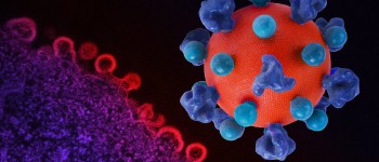 Вчені здійснили прорив у напрямку повного лікування проти ВІЛ