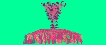 Вчені закартували кожен атом в шипах коронавірусу