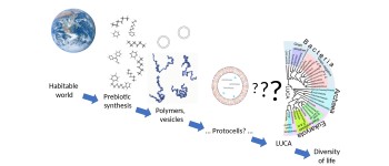 Вчені кажуть, що підручники помиляються щодо походження життя