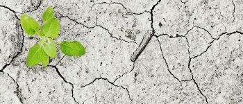 Вчені пролили нове світло на те, що потрібно для народження життя на планеті