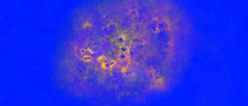 Вчені виявили одну з найбільш далеких галактик: МАМБО-9