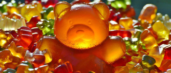 Вчені посилили м'язові клітини людини, вводячи їм «ведмежу сироватку»